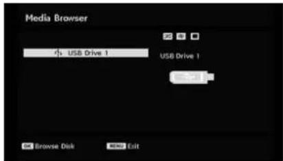 SABA L22V884 - Media Browser (in DTV mode) - 2