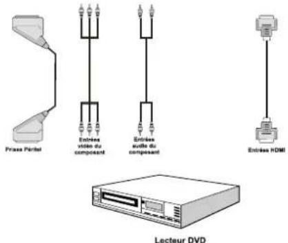 SABA CLS16V4 - Connexion à un lecteur de DVD - 1