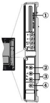 SABA CLS16V4 - Viewing the Connections - Side Connectors - 1