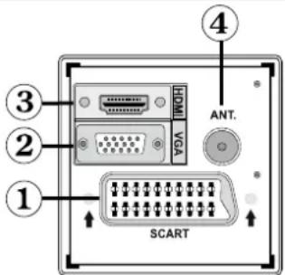 SABA CLS16V4 - Viewing the Connections-Back Connectors - 1