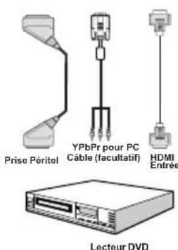 SABA L22D980 - Connexion du téléviseur à un lecteur de DVD - 1