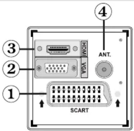 SABA SCB1910VX - Viewing the Connections-Back Connectors - 1