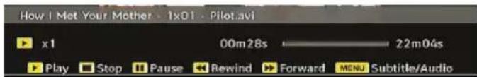 SABA SCB1910VX - Video Playback - 1