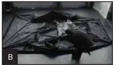 TRIGANO Spaceo 4 - ELECTING THE TENT - 2