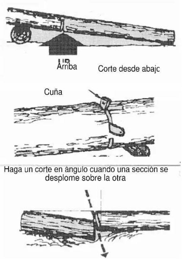 Anova MG3612A - CUIDADO - 1