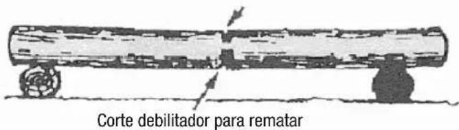 Anova MG3612A - TENSION Y COMPRESION EN LA MADERA - 2