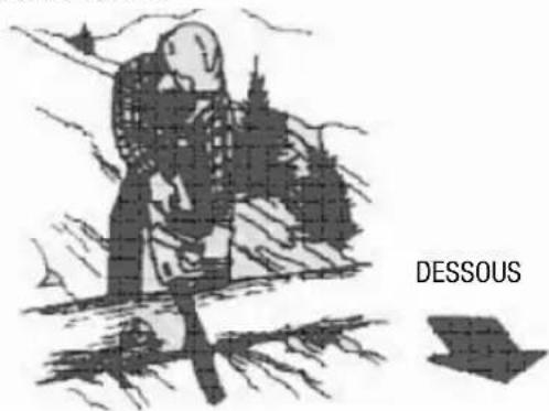 Anova MG3612A - Restez toujours au dessus des troncs. - 2