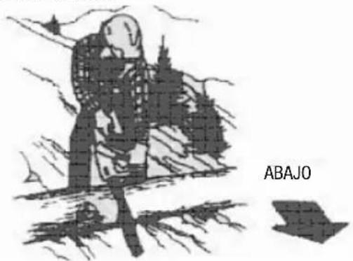Anova MG3612A - Manténgase永远不会 por encima de los troncos. - 2