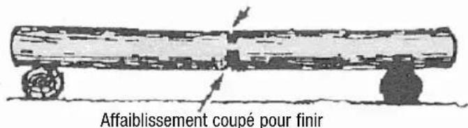 Anova MG3612A - TENSION ET COMPRESSION EN BOIS - 2
