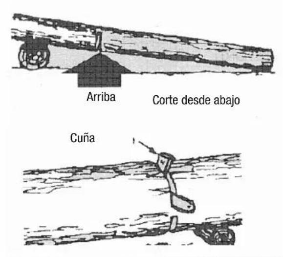 Anova MG3612A - PRECAUCION - 1