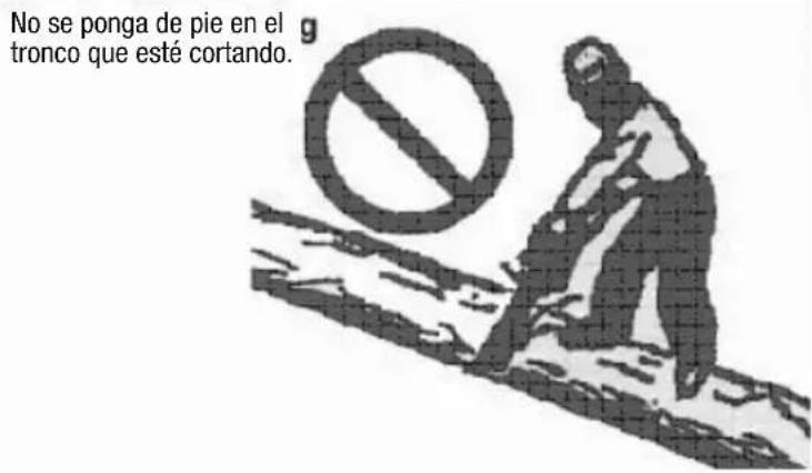 Anova MG3612A - Manténgase永远不会 por encima de los troncos. - 1