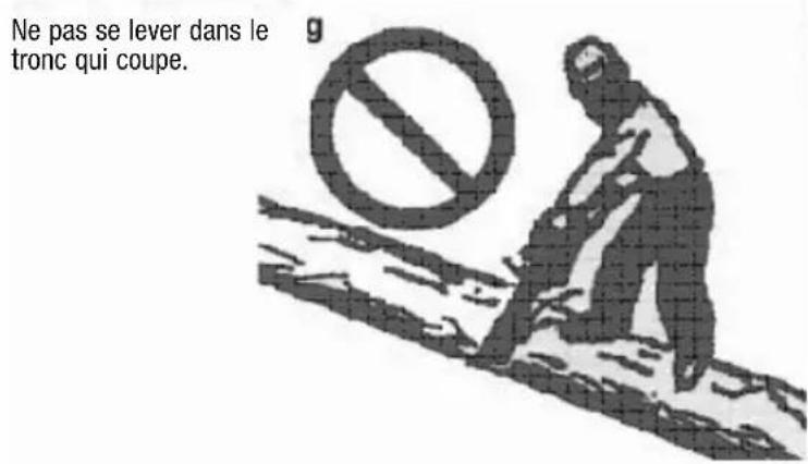 Anova MG3612A - Restez toujours au dessus des troncs. - 1