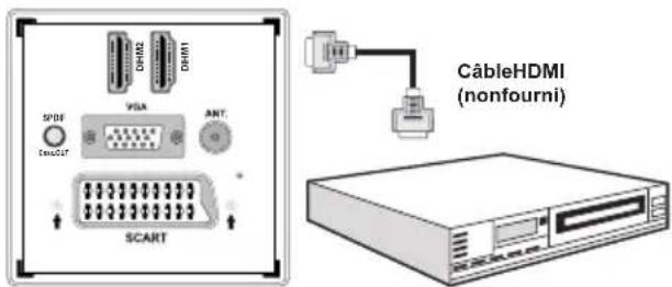 GRANDIN LC40R - Connexion du téléviseur à un lecteur de DVD via HDMI - 1