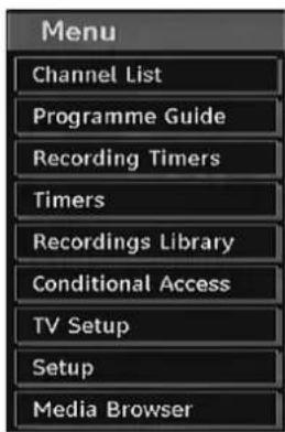 GRANDIN L19V99S - IDTV Menu System - 1