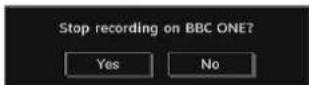GRANDIN L19V99S - Instant Recording - 3