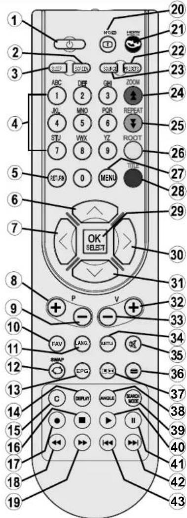 GRANDIN L19V99S - Overview of the Remote Control - 1