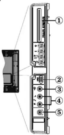 GRANDIN L19V99S - Affichage des branchements - Connecteurs latéraux - 1