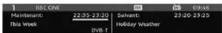 GRANDIN L19V99S - Bandeau d'information - 1