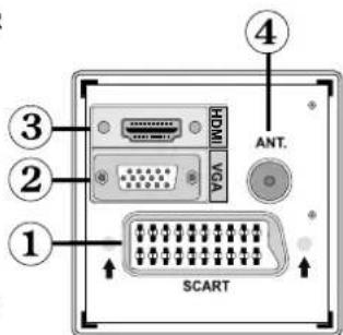 GRANDIN L19V99S - Viewing the Connections- Back Connectors - 1
