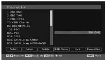 GRANDIN L19V99S - Renaming Channels - 1