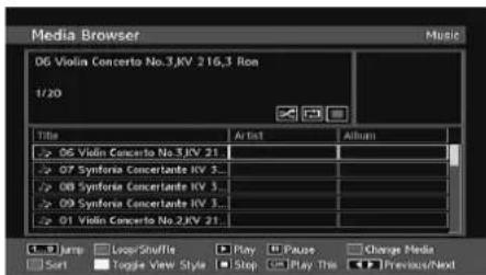GRANDIN L19V99S - Playing MP3 Files - 1