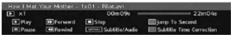 GRANDIN L19V99S - Video Playback - 1