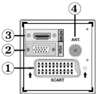GRANDIN L19V99S - Affi chage des branchements – Connecteurs arrière - 1