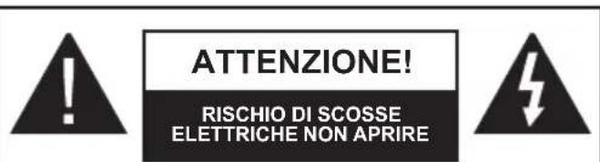 GRANDIN DL39V200 - Note sulla sicurezza: - 1