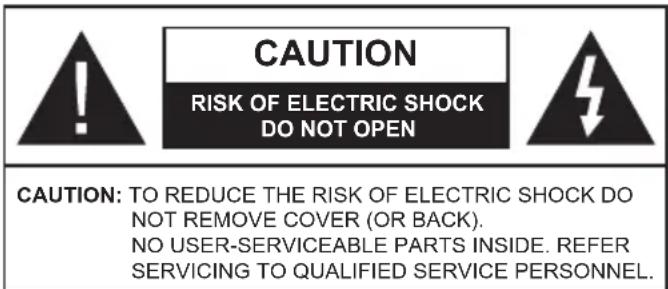 GRANDIN DL39V200 - Safety Information - 1