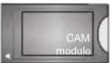 GRANDIN DL39V200 - Televideo digitale (solo per trasmissioni nel Regno Unito) - 29