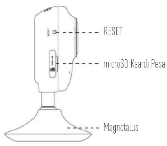 EZVIZ C2Mini - EZVIZ Pilv - 2
