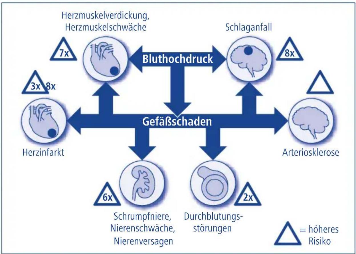 Tensoval Duo Control - Bedeutung der Blutdruck-selbstmessung - 1