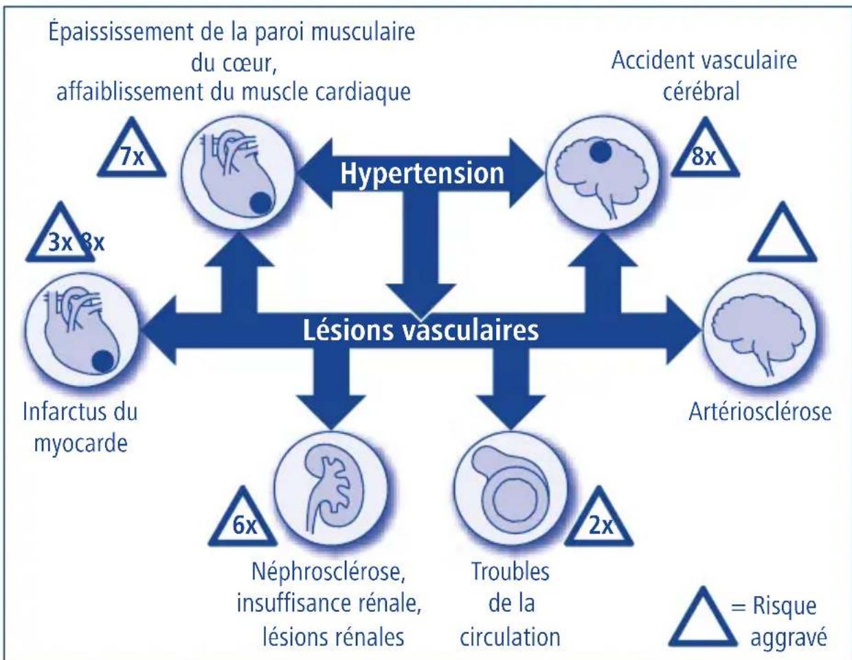 Tensoval Duo Control - Signification de la mesure de la pression arterielle - 1