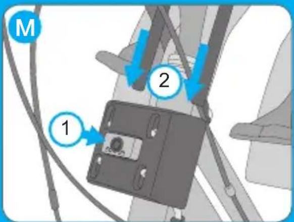 Bellelli Freccia - 11