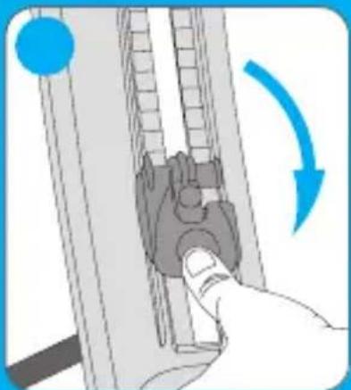 Bellelli Freccia - 15