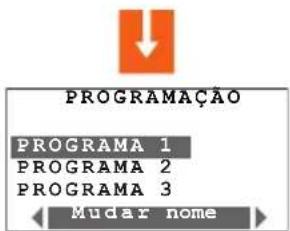 BTICINO L4451 - ■ Menu programação - 1
