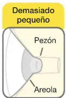 MEDELA Symphony - Pruebe el時間 de su embardo - 1