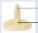 MEDELA Harmony - HINWEIS - 1