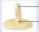 MEDELA Harmony - EIAOIOIHsH - 1