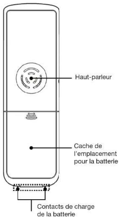 ESSENTIELB Photo - description - 2