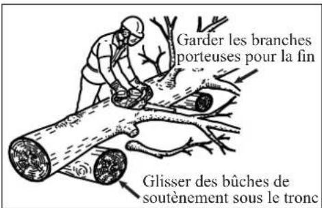 Shindaiwa 269TS - MISE EN GARDE! - 2