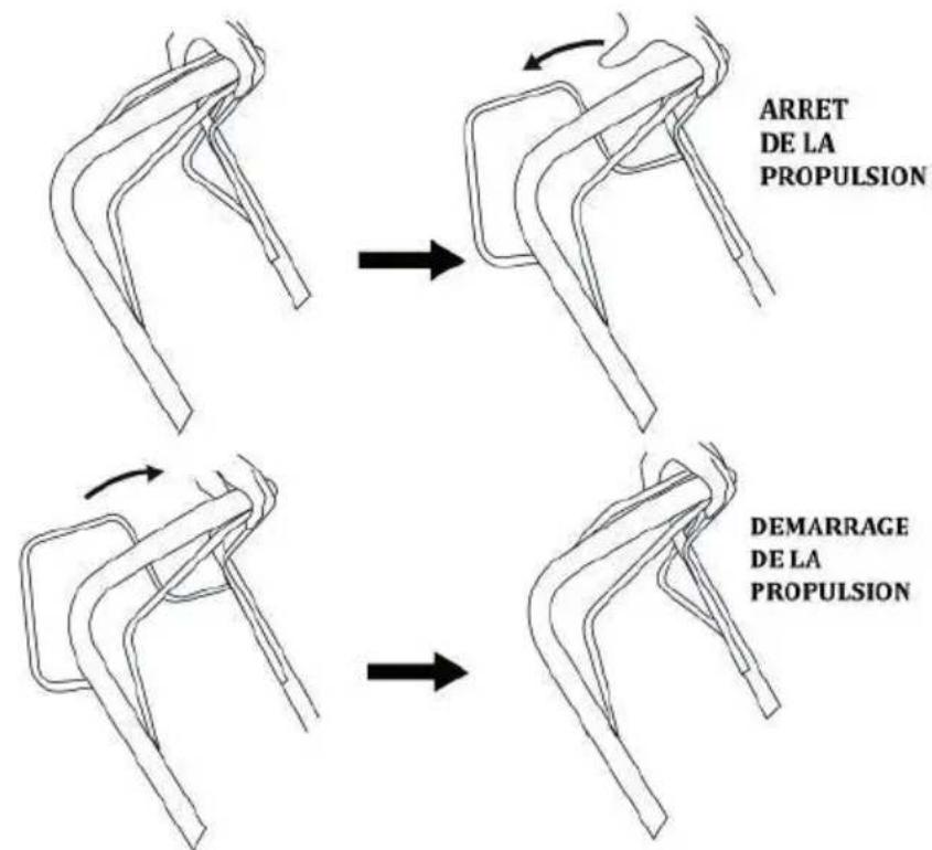 Greatland GL TO 175 SUB 51 SP 4in1 - Propulsion (traction) de la tondeuse - 1