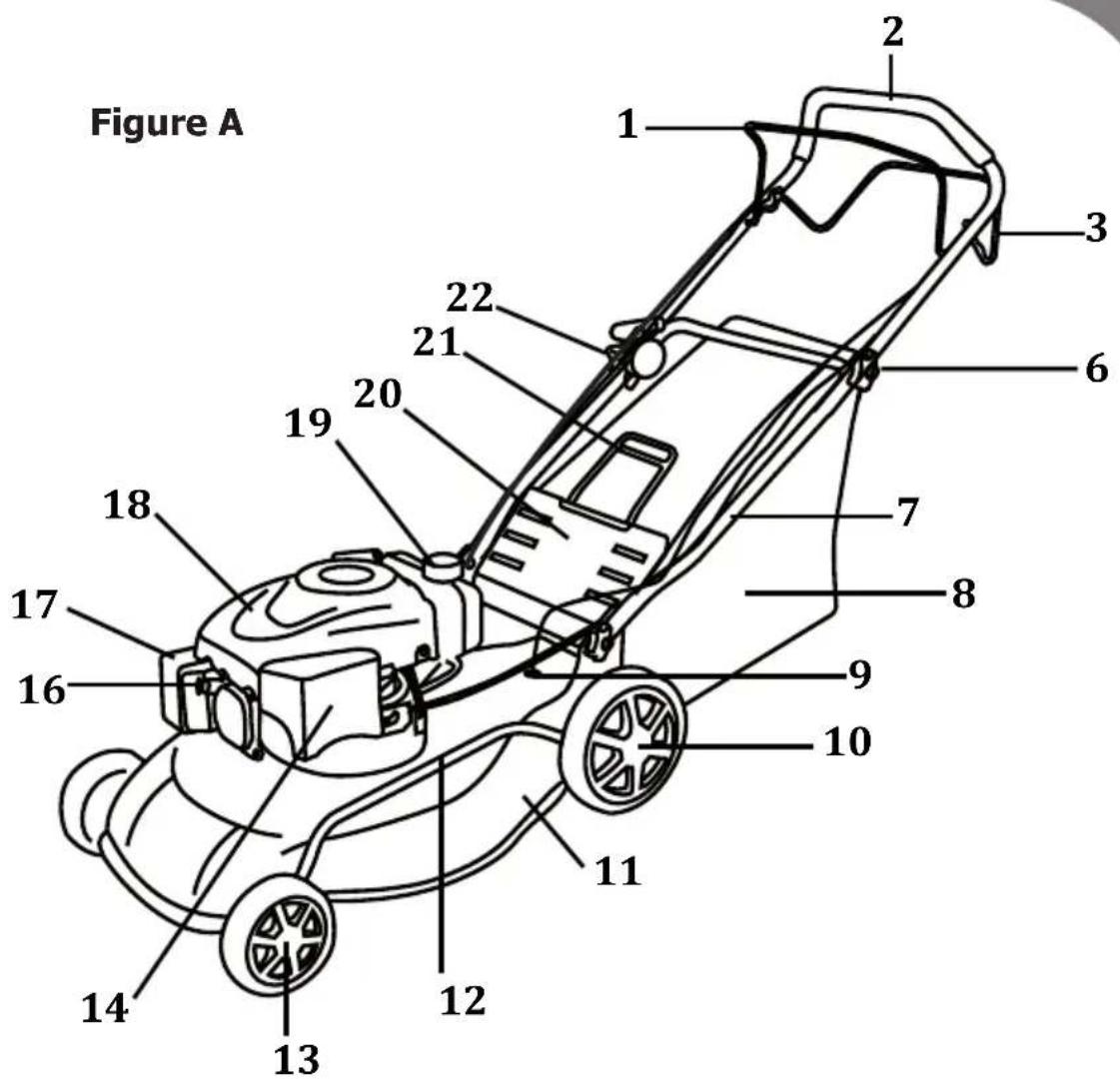 Greatland GL TO 175 SUB 51 SP 4in1 - LA TONDEUSE - 1