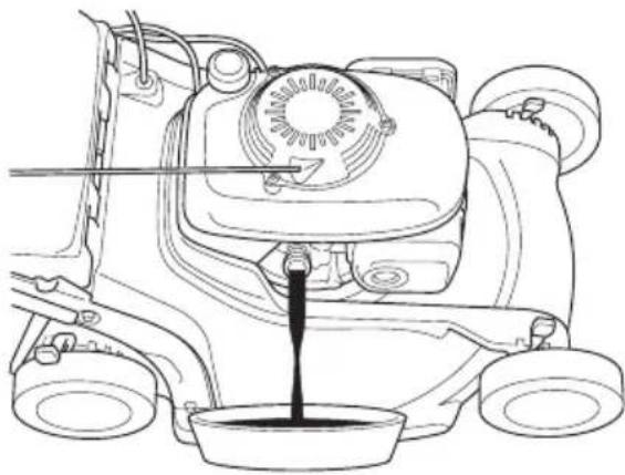 Honda HRB536C - Changement de I'huile moteur - 1