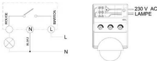 Orbis Proximat - CONNEXION - 1