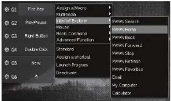 Qilive Q.8311 - Internet Explorer - 1