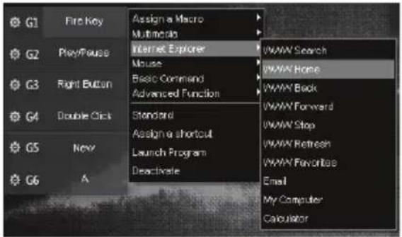 Qilive Q.8311 - Internet Explorer - 1