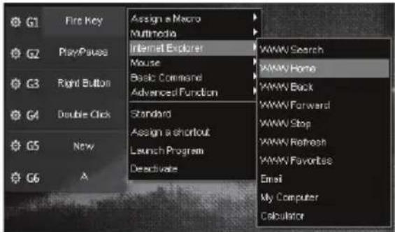 Qilive Q.8311 - Internet Explorer - 1