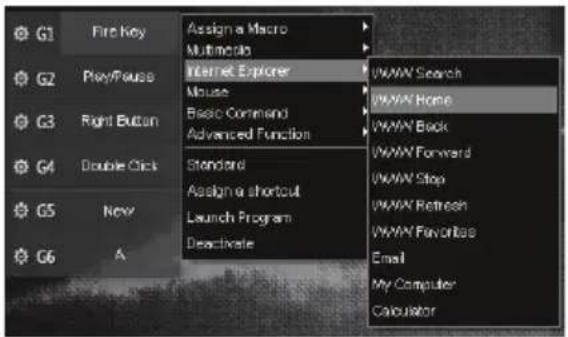 Qilive Q.8311 - Internet Explorer - 1