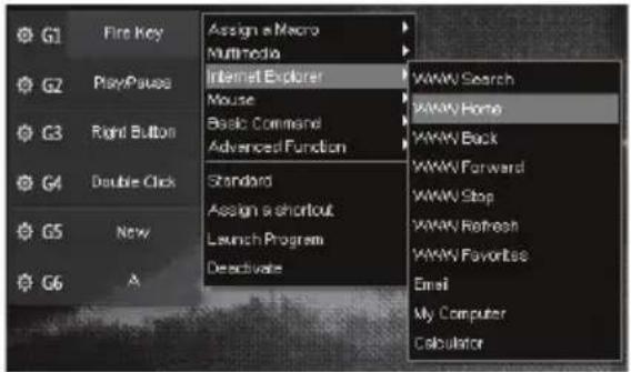 Qilive Q.8311 - Internet Explorer - 1